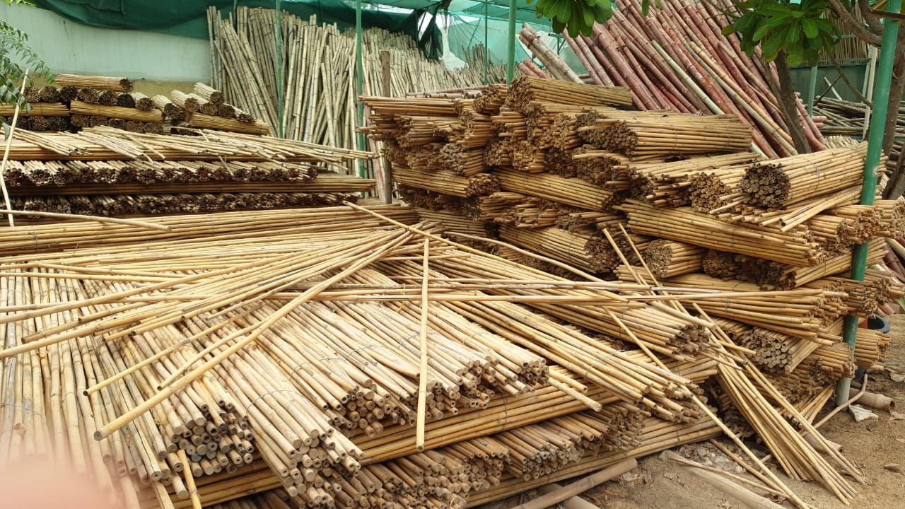 Bamboo Sticks / Bamboo Pole – SFS Enterprise LLC